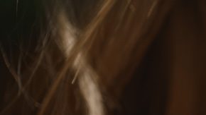 Regalos de San Valentín: 9 collares para todos los presupuestos que puedes comprar en Amazon