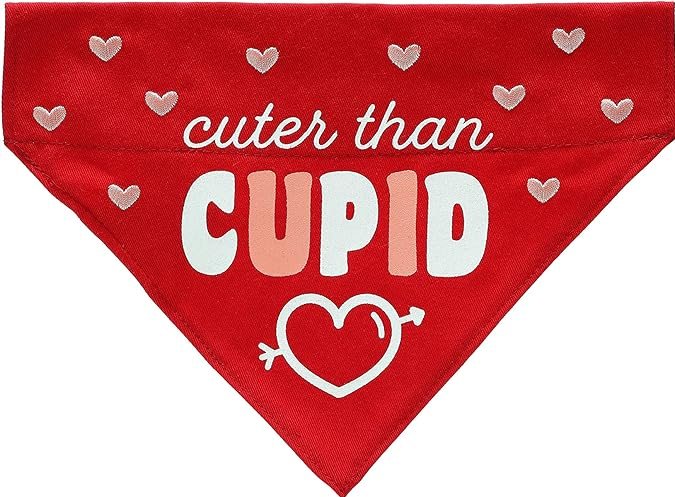 Bandana para perro de Pearhead de venta en Amazon.