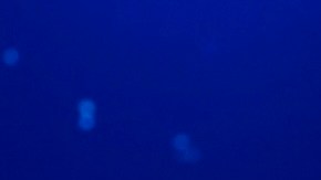 Taylor Swift recibió el 2024 junto a su novio: cómo replicar el brillante look de la cantante