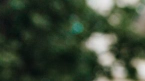 ¿Te decoloraste el cabello? Tips prácticos para mantenerlo saludable, suave y brillante