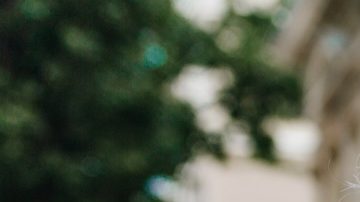 ¿Te decoloraste el cabello? Tips prácticos para mantenerlo saludable, suave y brillante