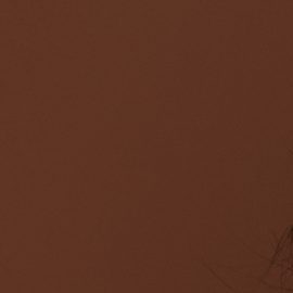 ¿Tu cabello se ve plano o “aplastado”? 5 sencillas formas de darle volumen en poco tiempo