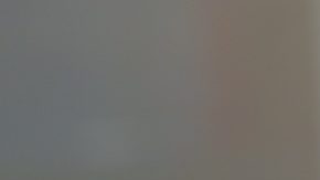 8 bolsos Coach con 50% de descuento o más este fin de semana por el Día de los Presidentes