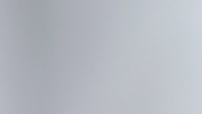 Mejora el cuidado de tu cabello al incluir un aceite como pre shampoo.