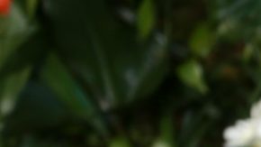 George y Amal Clooney en la premier de "Ticket To Paradise" en Londres, Inglaterra.