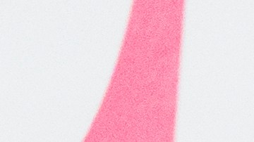 Ariana Grande combina el estampado del calzado con su look en tendencia.