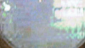 Beyoncé lanzará ‘Cécred', una línea de cuidado para el cabello, y esto es lo que se sabe de ella