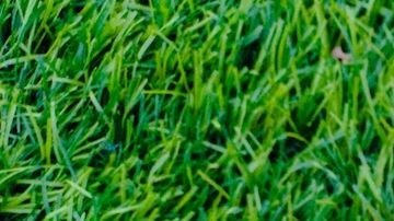 Termo rosa de Corkcicle acostado sobre el pasto verde.