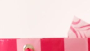 Conjunto de bolsas de compra de Victoria's Secret con los estampados más conocidos de la marca.