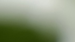 Mejora el cuidado de tu cabello con el sérum de Kérastase adecuado para ti.