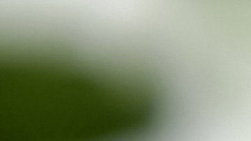 Mejora el cuidado de tu cabello con el sérum de Kérastase adecuado para ti.