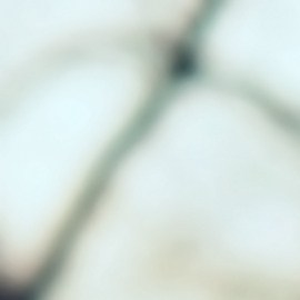 Prueba el estilo "Mob wife" para verte misteriosa, sensual y femenina.