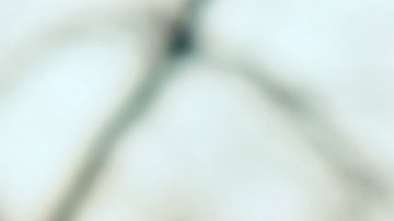 Prueba el estilo "Mob wife" para verte misteriosa, sensual y femenina.