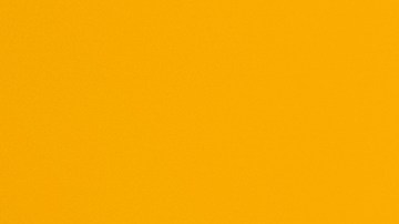 Mejora la forma de tus rizos con el método plogging.