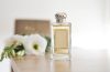 Los perfumes amaderados son ideales para tener un aroma seductor.