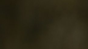 Kate Middleton en el festival 'Back to Nature' en septiembre de 2019.