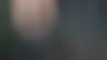 Sofia Richie debuta su pancita de embarazo en la alfombra roja y se mantiene fiel al lujo silencioso