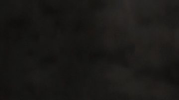 ¿Usar o no usar pantalones capri? Pros y contras de esta controversial prenda