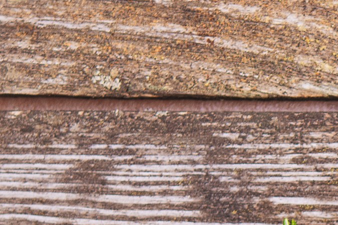 El romero y la linaza se convertirá en el complemento ideal para cuidar tus cejas y pestañas.