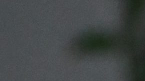 Hailey Bieber lleva la moda deportiva para la primavera.