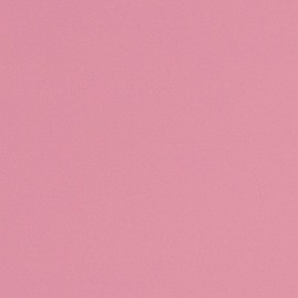 Iliana Loza es una de las mexicanas más reconocidas en la industria de la belleza sustentable.