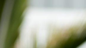 Kate Middleton y el príncipe William saludan durante su visita a Nueva Zelanda en abril de 2014.