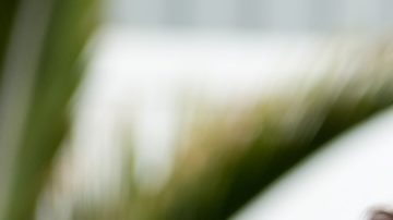 Kate Middleton y el príncipe William saludan durante su visita a Nueva Zelanda en abril de 2014.