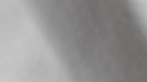 Manos femeninas con diseño de uñas blancas sosteniendo flores rosadas.