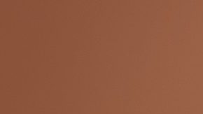 Mujeres multiétnicas en traje de baño divirtiéndose en el estudio.