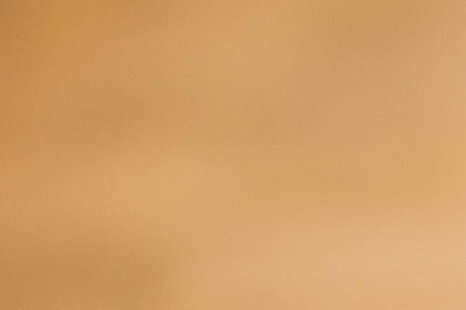 Bolso en la pasarela de Elie Saab de su colección otoño/invierno 2024.