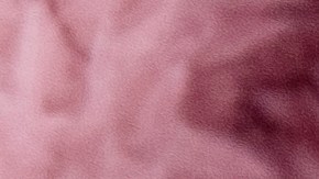 Giorgio Armani cuenta con algunos de los mejores perfumes de la industria.