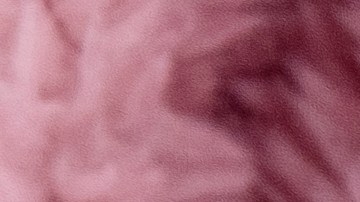 Giorgio Armani cuenta con algunos de los mejores perfumes de la industria.