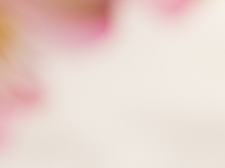 Adquiere perfumes económicos y de buena calidad con aroma floral para la primavera.