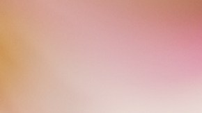 Adquiere perfumes económicos y de buena calidad con aroma floral para la primavera.