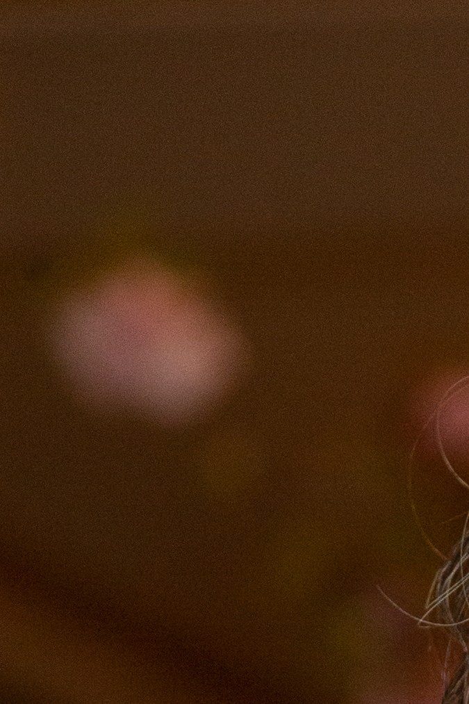 Pierpaolo Piccioli se despide de Valentino después de 25 años.