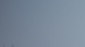 Mujer con una gabardina de animal print posa frente de a un auto verde.