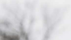 Mujeres caminan por las calles de Milán tras Milan Fashion Week en febrero de 2019, usando gafas de sol de moda.