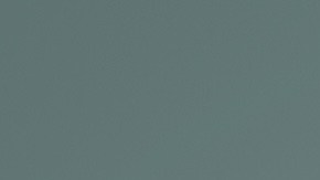 Diversas mujeres con mucha confianza mirando la cámara mientras están de pie contra un fondo de estudio