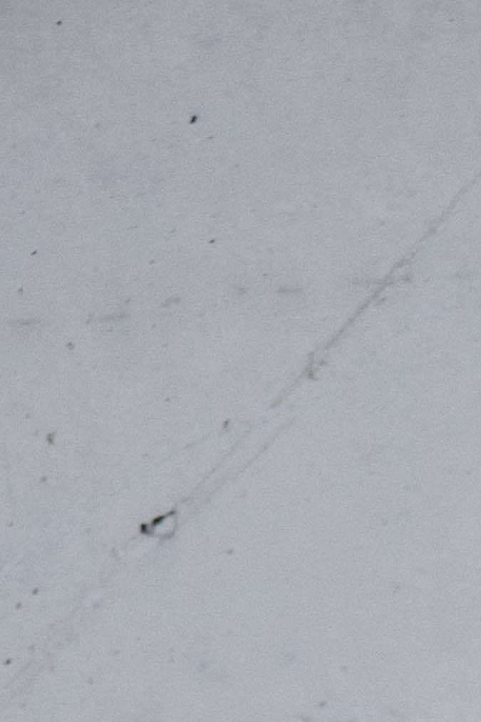 Camiseta de edición limitada de FC Barcelona.