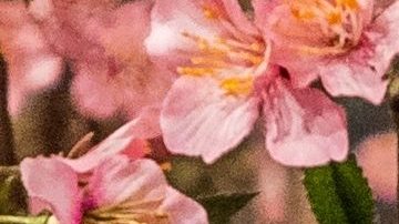 Diana de Gales usó los mejores perfumes para sentirse elegante y femenina.