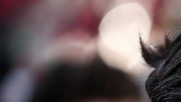 Kendall Jenner y Bad Bunny vuelven a posar para Gucci.