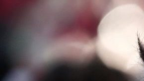 Kendall Jenner y Bad Bunny vuelven a posar para Gucci.