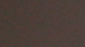 Roberto Cavalli llevó el estampado de animales a las tendencias de la moda.