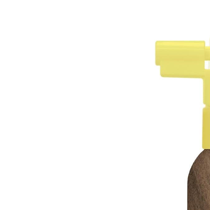 Protector solar con Sun Bum.