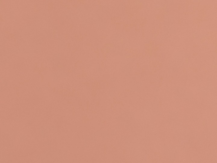 Las uñas en tendencia de primavera destacan por llevar el color rosado.