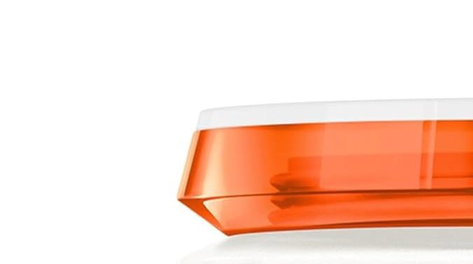 Nutritive Masquitense