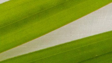 Elige el accesorio ideal para regalarle a tu mamá en su día especial.