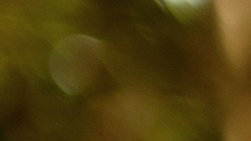 Las chicas fashionistas llevarán los bolsos baguette en primavera.