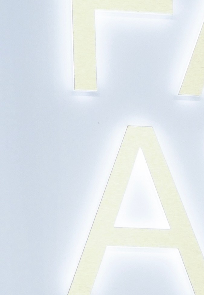 Cher fue una de las invitadas especiales del Council of Fashion Designers of America.