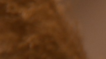 Mejora tus looks al incluir los zapatos destalonados este verano.